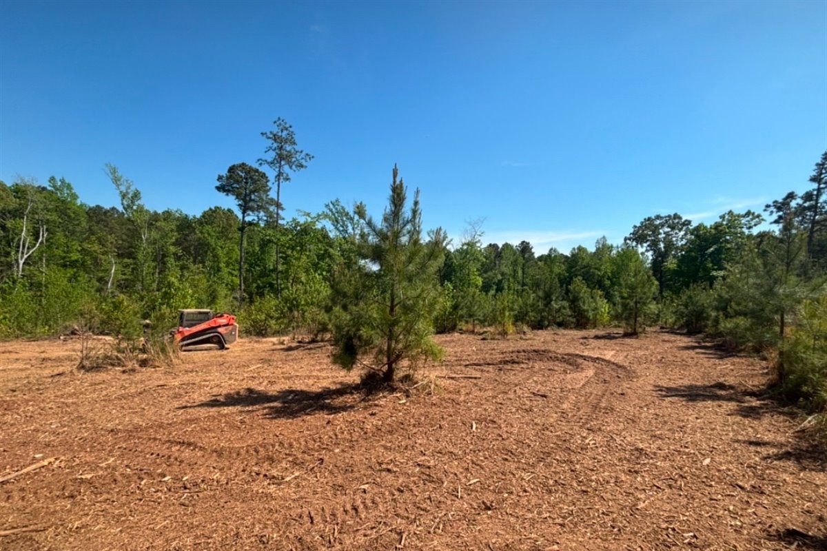 Fire Mitigation after